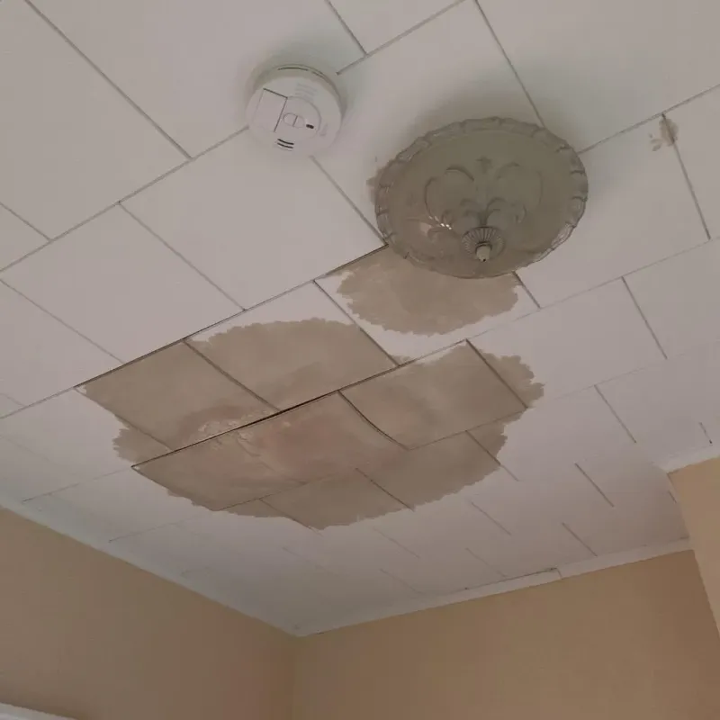 Ceiling Water Damage Repair in Danbury, CT