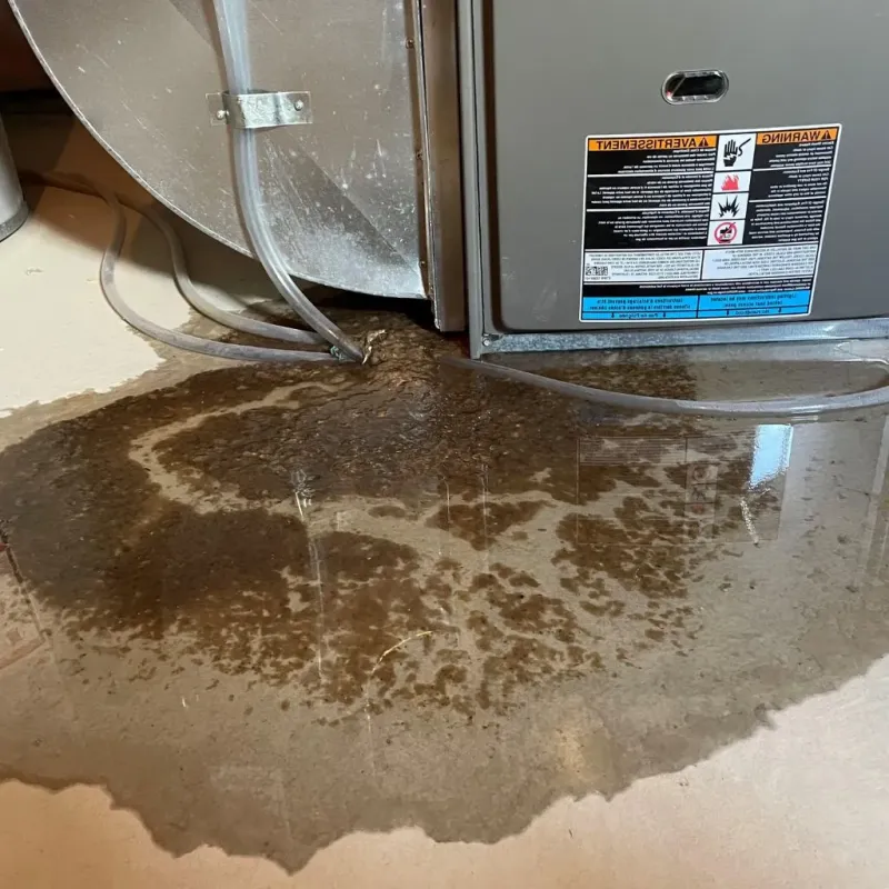 Pipe Burst and Leak Restoration in Danbury, CT
